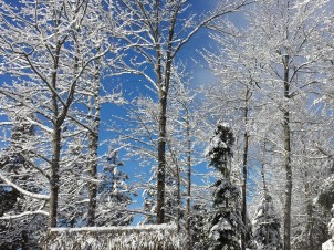 Hiver au NRJ Spa Nordique